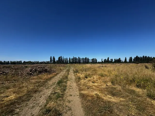 Vista de terreno y cordillera desde el loteo